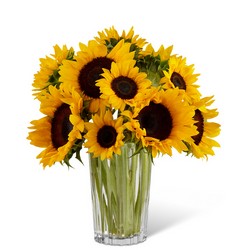 The Golden Sunflower Bouquet by Vera Wang from Visser's Florist and Greenhouses in Anaheim, CA